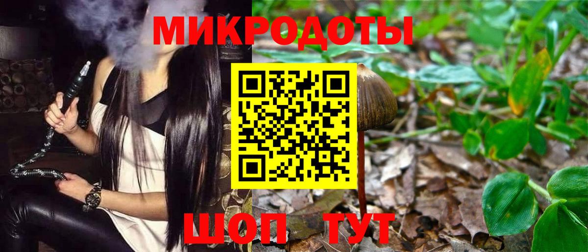 Псилоцибиновые грибы мицелий Владикавказ