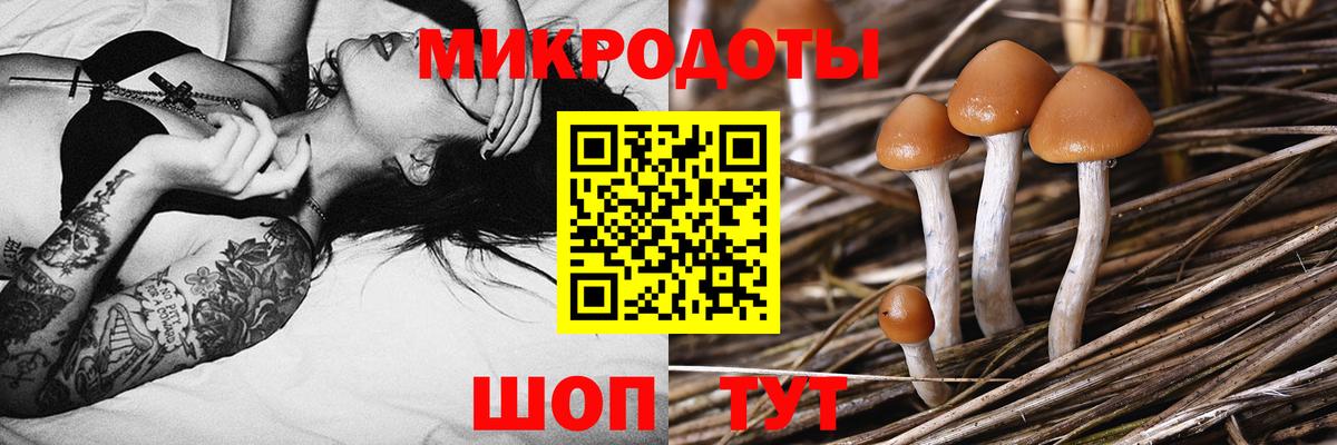 Псилоцибиновые грибы GOLDEN TEACHER  Вход с VPN  Владикавказ 