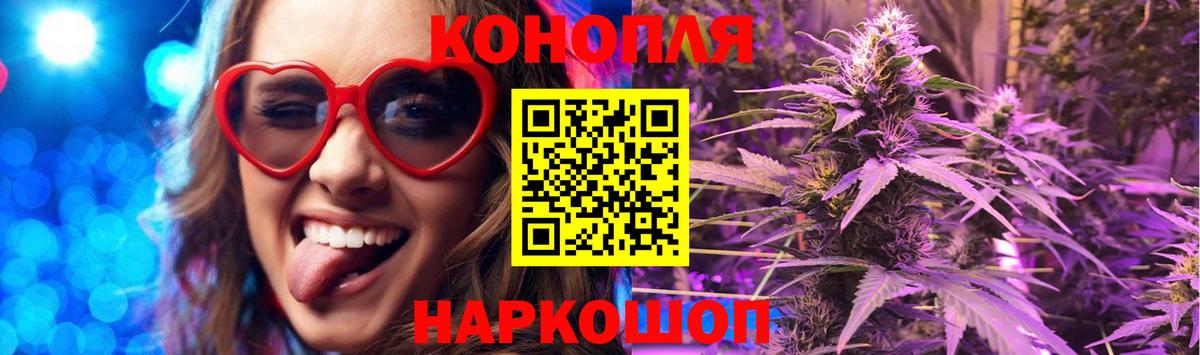 Бошки марихуана семена  Вход с VPN  Марихуана семена  Владикавказ  Бошки Шишки SATIVA & INDICA 